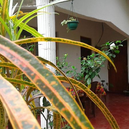 Winstar Homestay Sigiriya Exterior photo