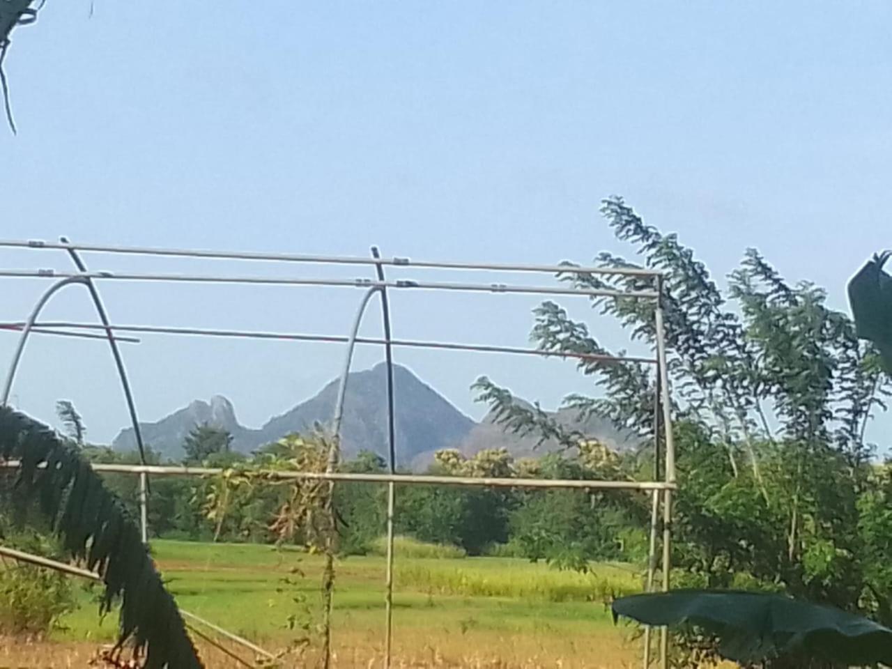 Winstar Homestay Sigiriya Exterior photo
