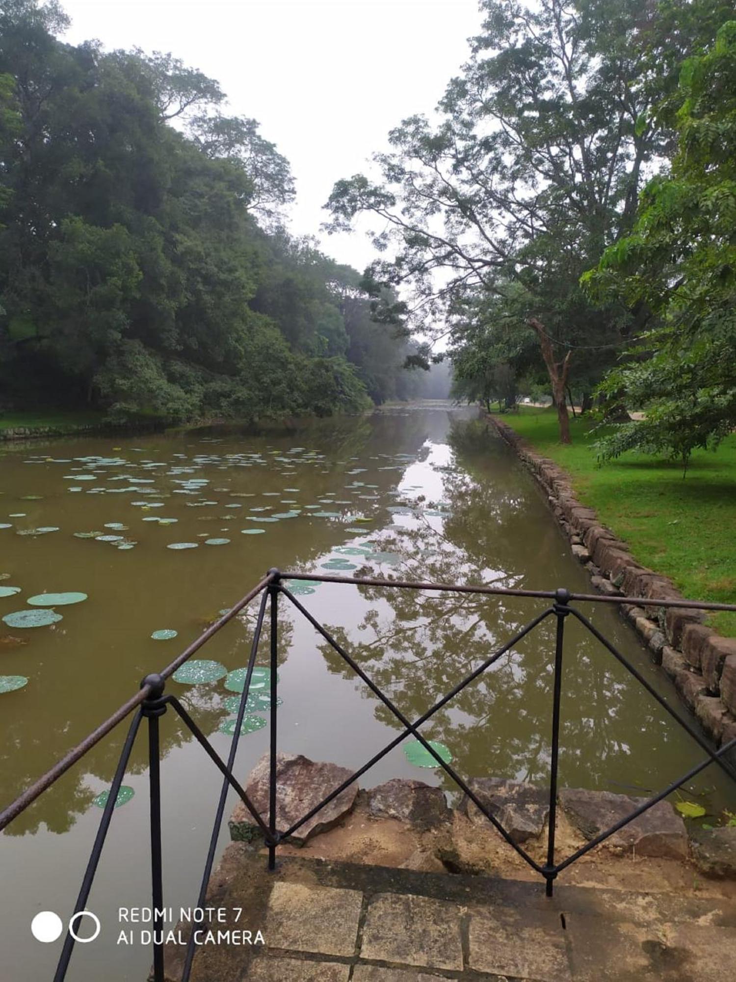 Winstar Homestay Sigiriya Exterior photo